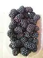 Moras