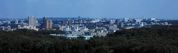 Tama