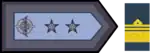 Insignia de brigadier.