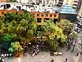 Bulevar de Sabana Grande, arquitectura y vegetación.