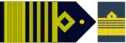Insignia de comodoro.