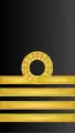 Insignia de coronel (Infantería de Marina)/Capitán de navío (Armada)