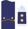 Divisa teniente Ejército del Aire.