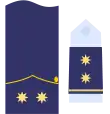 Divisa teniente coronel Ejército del Aire y del Espacio.