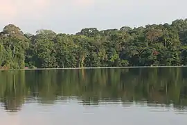 Parque Nacional Madidi
