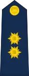 Brigadier general del Aire de la Fuerza Aérea.