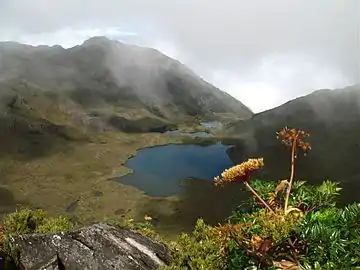 PáramoCerro Chirripó