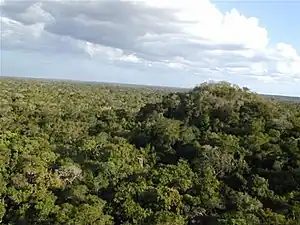 Pirámide del Tigre en la ciudad maya de El Mirador (Petén, Guatemala, preclásico tardío, hacia el 600&nbsp;a.&nbsp;C.). También incluía la Pirámide La Danta, actualmente oculta por la selva, un complejo religioso más grande que la Gran Pirámide de Guiza.