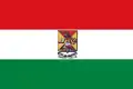Bandera de Azogues