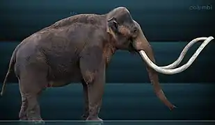 Mamut