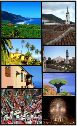 Desde arriba a la izquierda: Mirador de San Pedro, Hacienda de Castro, Casa Parroquial Realejo Bajo, Romería de San Isidro Labrador. Desde arriba a la derecha: Iglesia de Santiago Apóstol en Realejo Alto, Iglesia de la Concepción en Realejo Bajo, Drago de Siete Fuentes en San Agustín, Fuegos Artificiales el 3 de mayo.