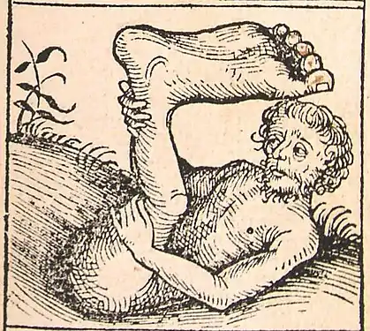 El esciápodo, pie de paraguas, Crónicas de Núremberg (XIIr)