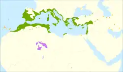 Carta de distribución, con Olea europaea europaea en verde