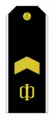 Insignia de rango de Starshiná Jefe de la Armada Rusa.