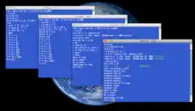 Muestra la shells tcsh y sh Unix ejecutándose en escritorio Mac OSX.