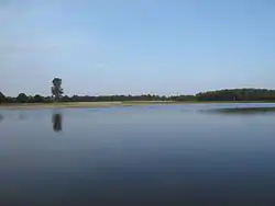El Mosa en el parque nacional De Maasduinen