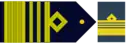 Insignia de vicecomodoro.