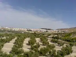 Vista de Estepa y sus campos.